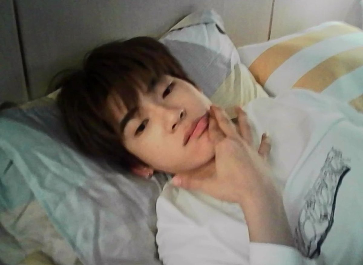 𝒏𝒊𝒍𝒏𝒊 ˚.🎀༘⋆ tweet media