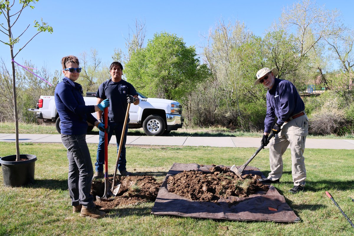 HRWater's tweet image. This past Friday, our team celebrated #ArborDay with volunteers from Scout Troop 870 and the Highlands Ranch Metro District’s forestry team, planting 15 new trees at Kistler Park to replace those lost in the 2023 tornado.