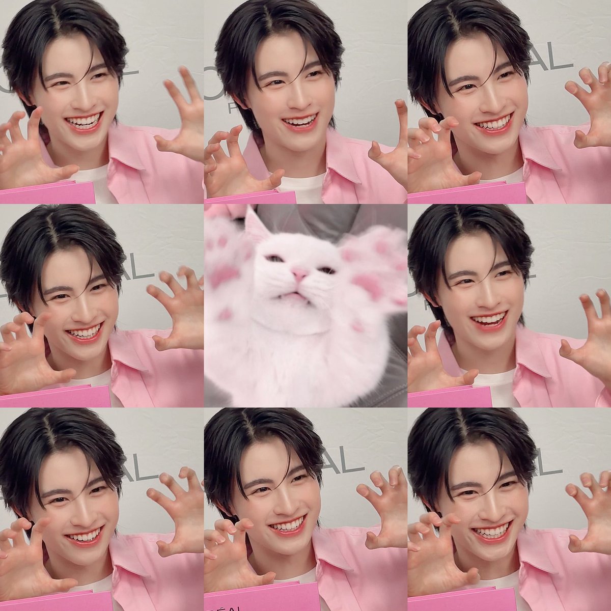 lnwpart's tweet photo. 🐱 + 🩷 = เอเอ100% >< https://t.co/dg0XKr2Ta1