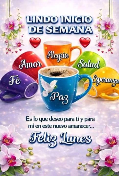 Gerardo Rodriguez tweet media