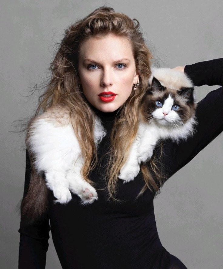 The Swift Society tweet media