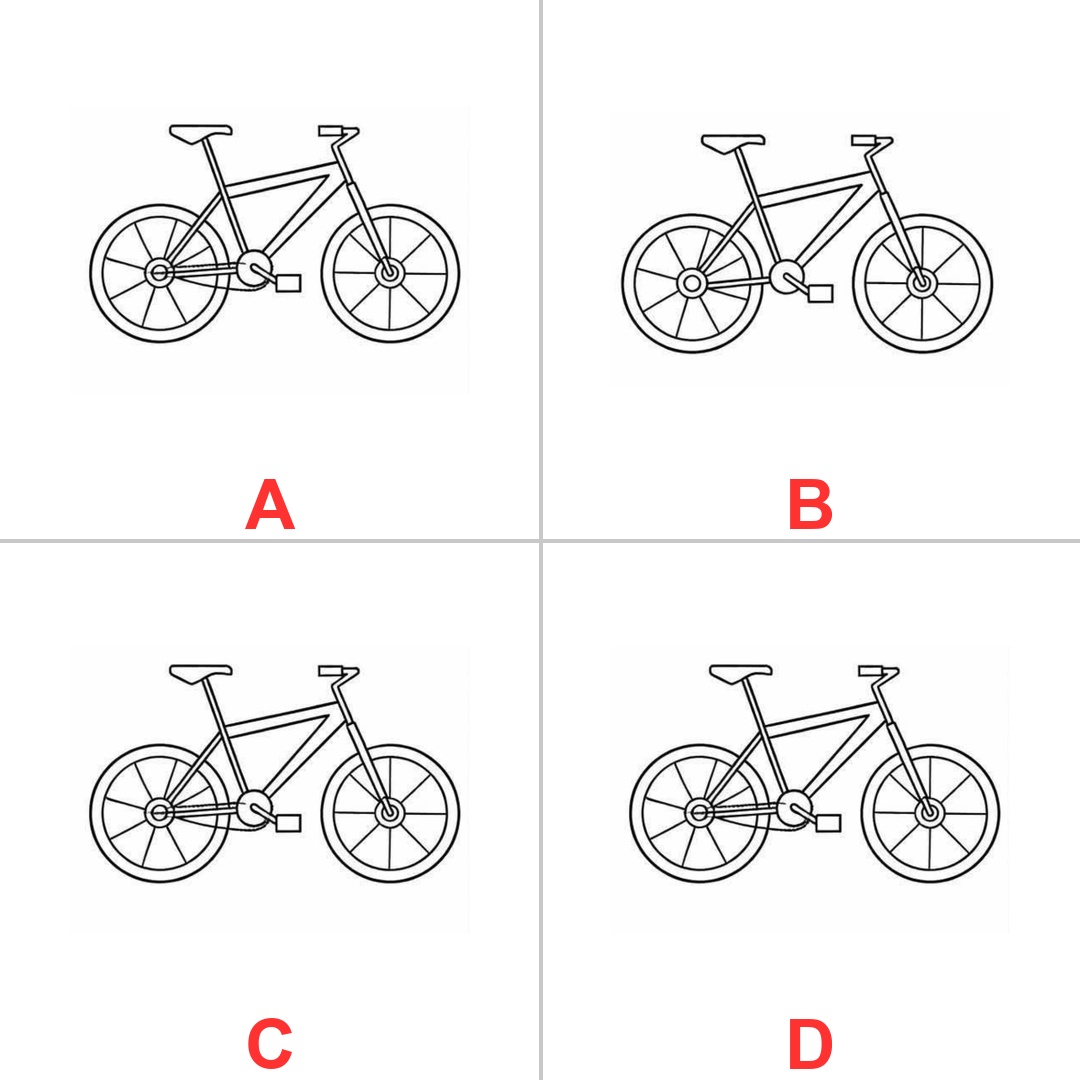 MindMazeX tweet media