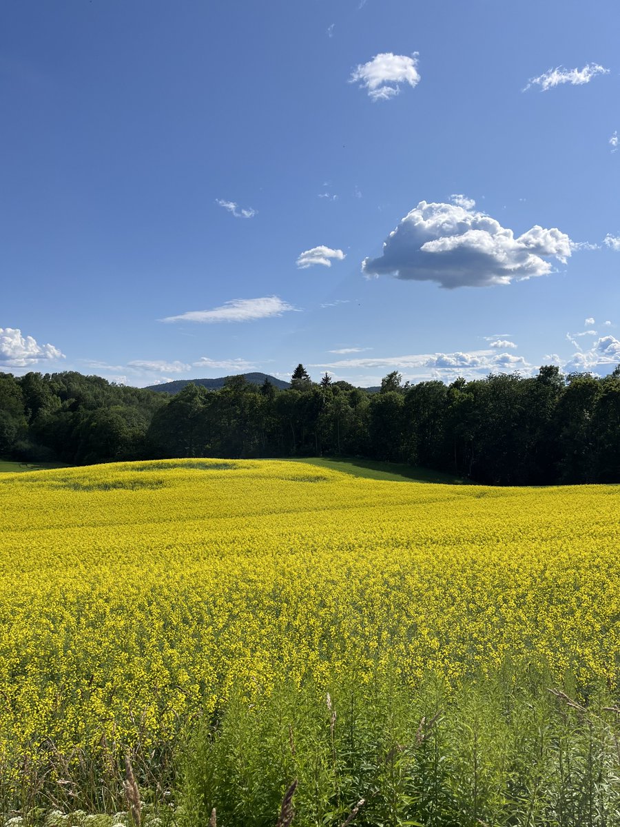 ShahidMAskerN's tweet image. I am waiting for this view 
📷 by me 2025
#Norway