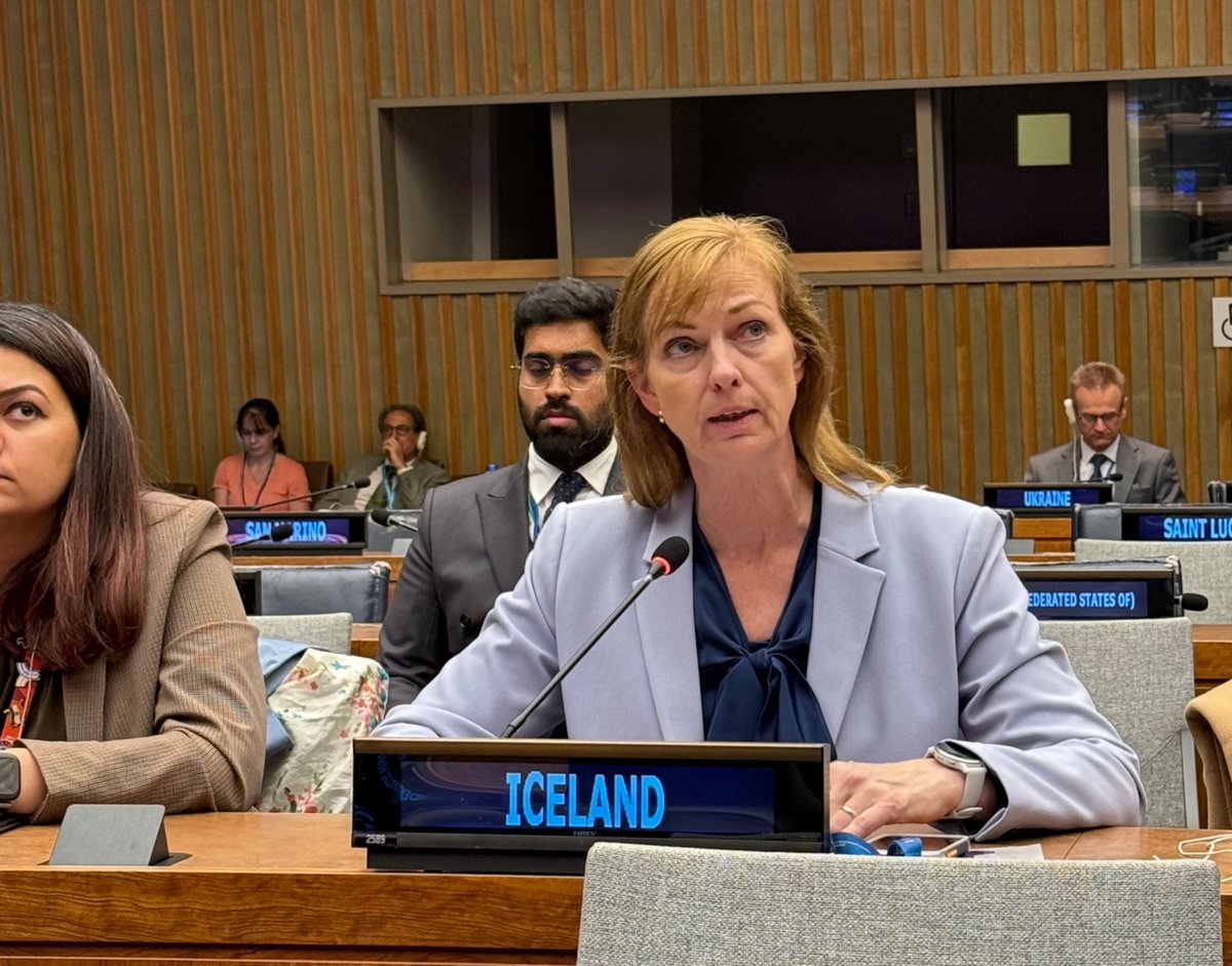 IcelandUN's tweet photo. Iceland participated in the #FfDForum last week, highlighting progress made and implementation🇺🇳
We were pleased to see the conclusions agreed by consensus - an important message of support following #FfD4 in Sevilla
📄 https://t.co/ix5PJ8fcAL https://t.co/ziUcA12EsV