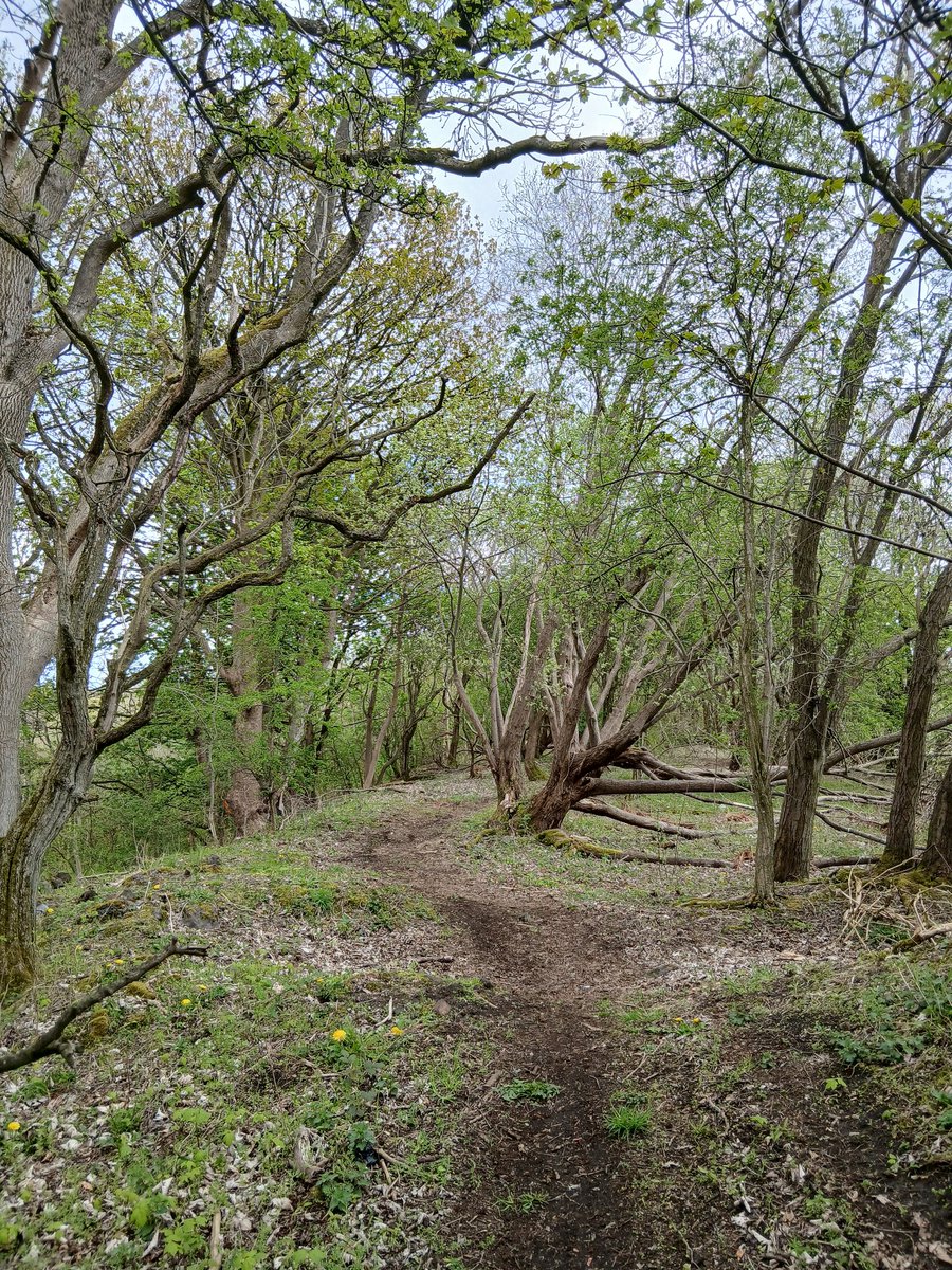 Sinéad Watson 🏴󠁧󠁢󠁳󠁣󠁴󠁿 tweet media