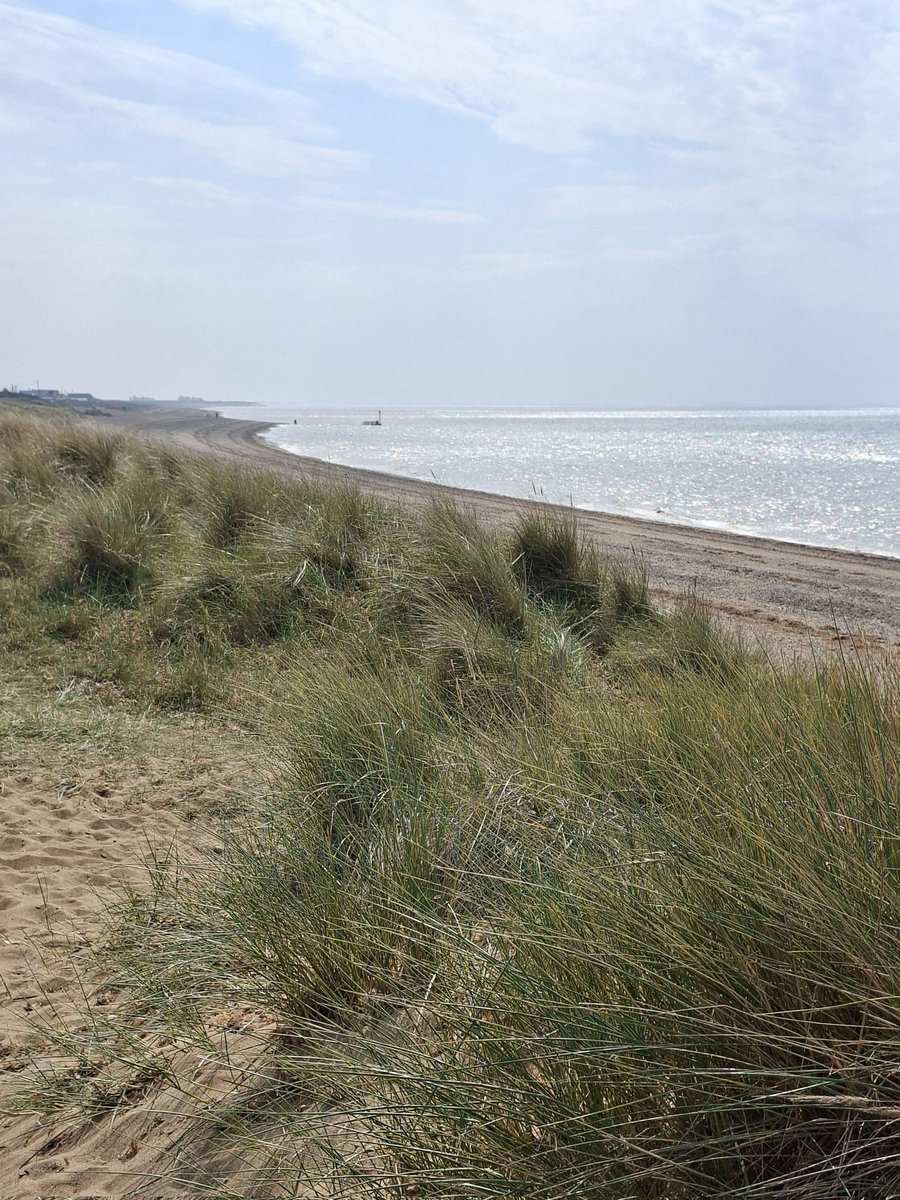 mycathardy's tweet image. The sea twinkled at North Beach, Heacham, this afternoon #beaches #Norfolk