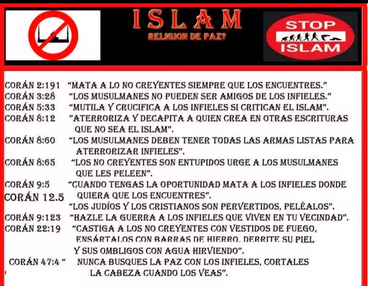 <a href="/eduardomenoni/">Eduardo Menoni</a> La pedofilia de los musulmánes es innegable