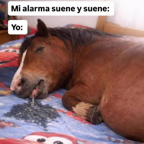 Animalitos en aprietos. tweet media