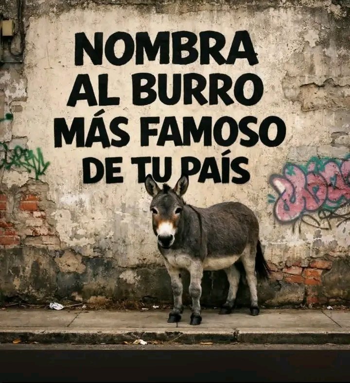 Libro Negro tweet media