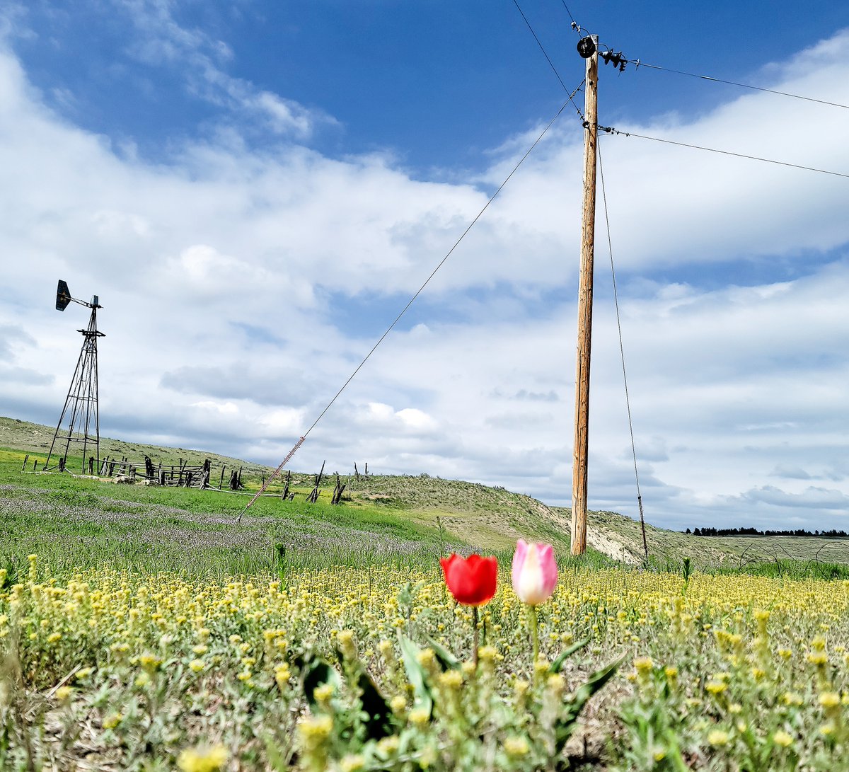 Powder River Energy tweet media