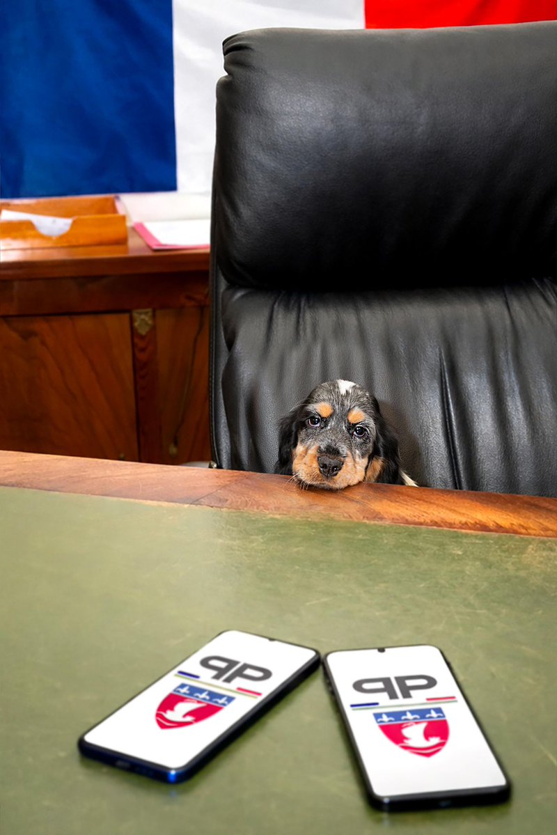 Arrivée il y a quelques semaines auprès du préfet de Police, Balma a rapidement trouvé sa place !

Chargée de mission sieste… et adoptée par toute la <a href="/prefpolice/">Préfecture de Police</a> 🐾