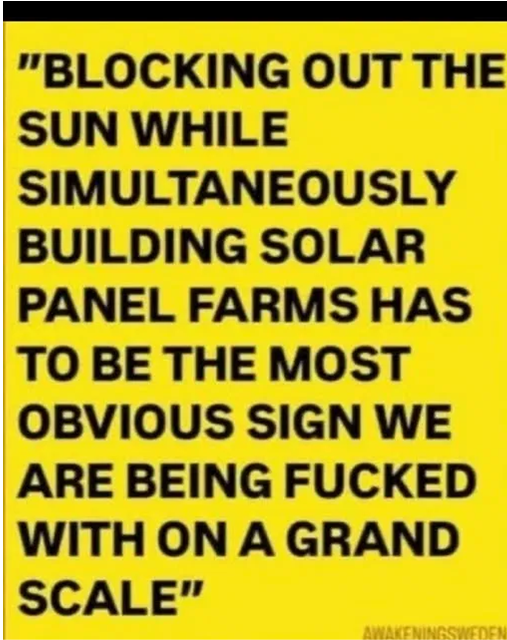 Merlin'sOwl🏴󠁧󠁢󠁳󠁣󠁴󠁿 tweet media