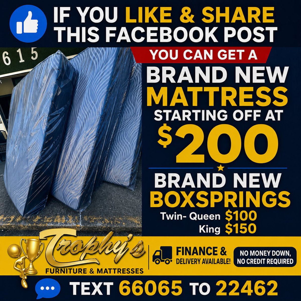 Big Steve tweet media