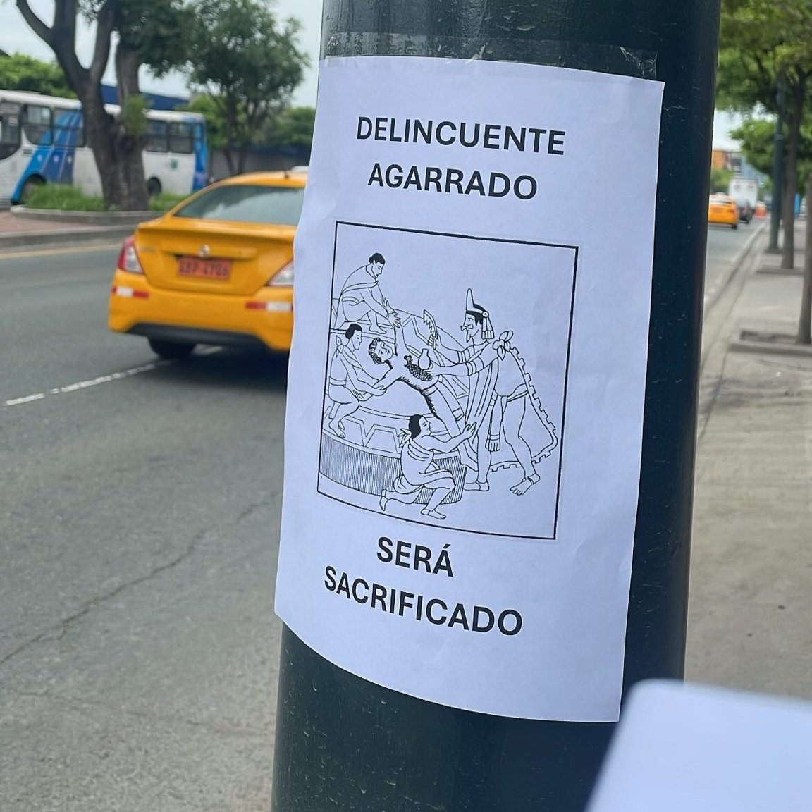Ladrones Siendo Domad🐀s tweet media