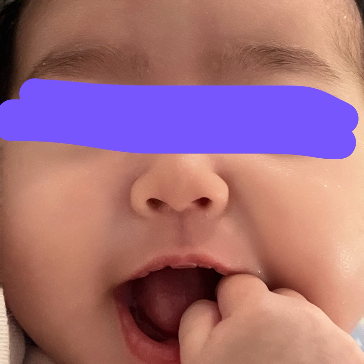 abee__abe's tweet photo. あっという間に4月も終わってしまう〜
👶🏻の成長は早いものです☺️

1枚目 川の字で寝るの幸せ
2枚目 チャイルドシートでは基本寝る
3枚目 初おもちゃ〜買って正解
4枚目 最近はこぶしずっとしゃぶってる

初めての予防接種も無事に終了！
来月はお宮参りとお食い初めだ〜♪♪
毎日が幸せです🥰 https://t.co/crhe5FdKQz