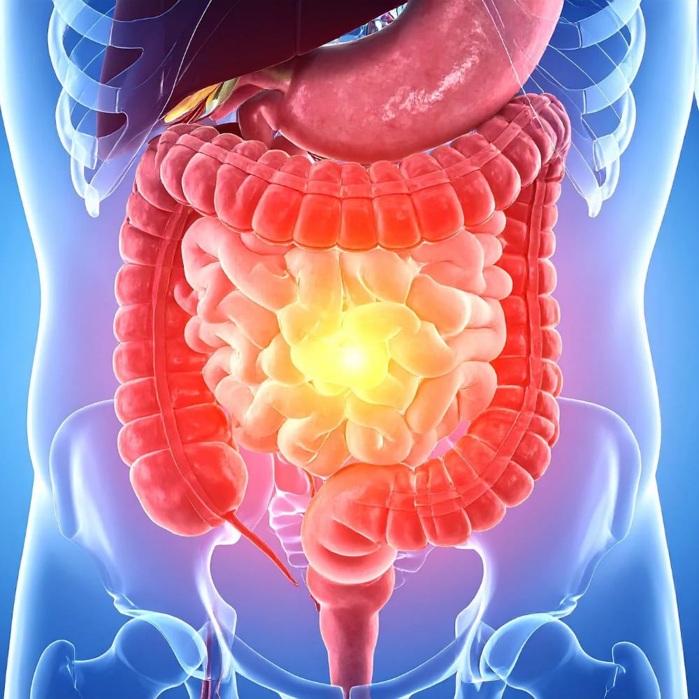 Enséñame de Ciencia tweet media