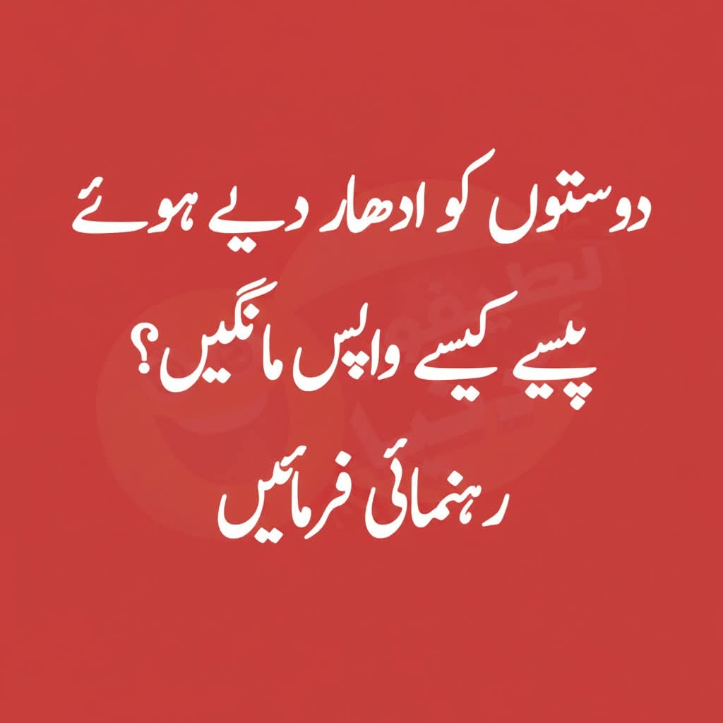 Hania Batool tweet media