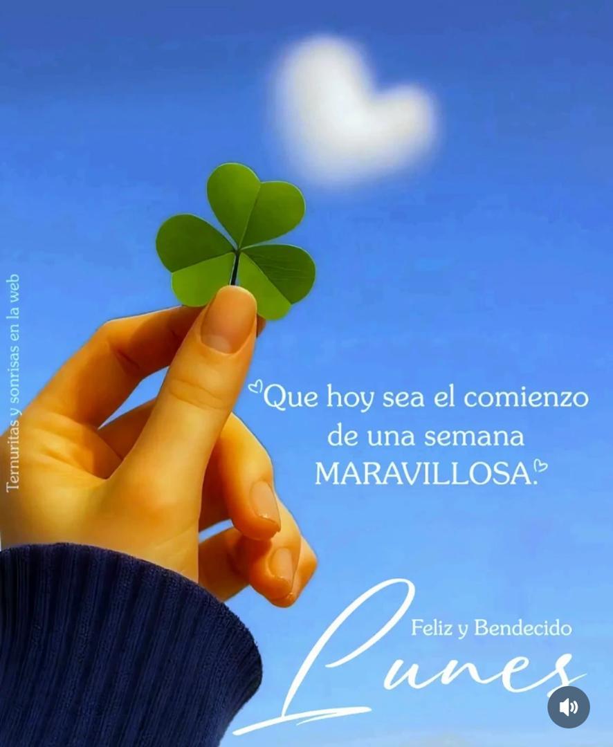 Gerardo Rodriguez tweet media