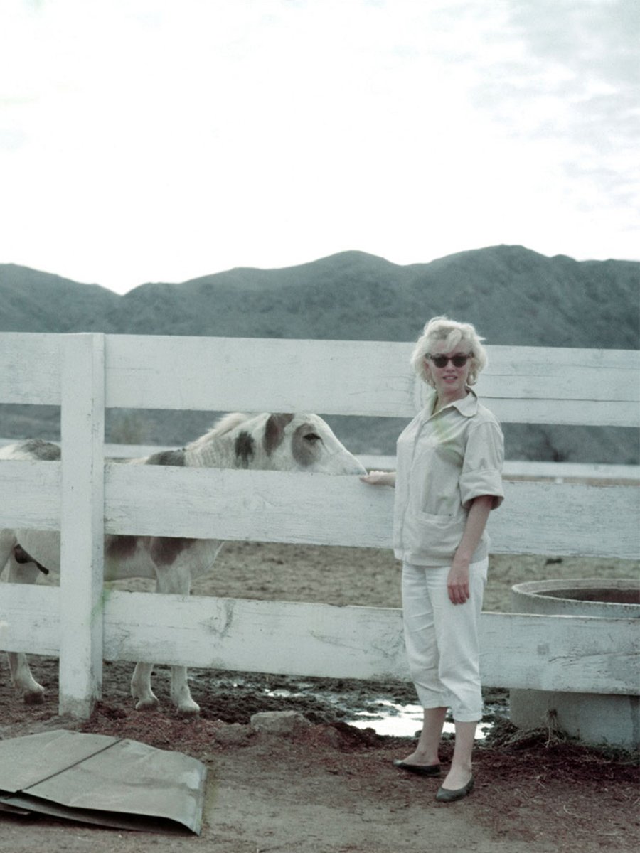 MarilynMonroe's tweet image. Marilyn had a great love for animals. 🤍🐴

📸: #MiltonHGreene 

#MarilynMonroe #Icon #Star #Photography #Horses #Animals