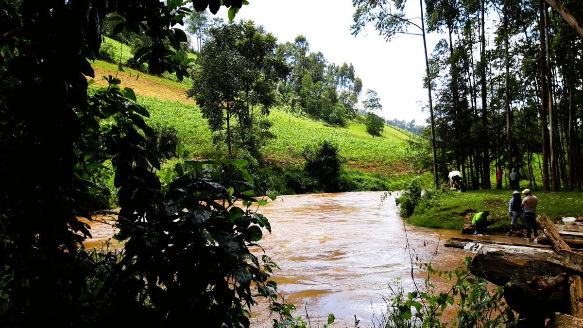 HySpeedGeo's tweet image. The Underestimated Role of Rivers as a Source of Greenhouse Gases #satellitedata #earthobservation #rivers #greenhousegases
kit.edu/kit/english/pi…