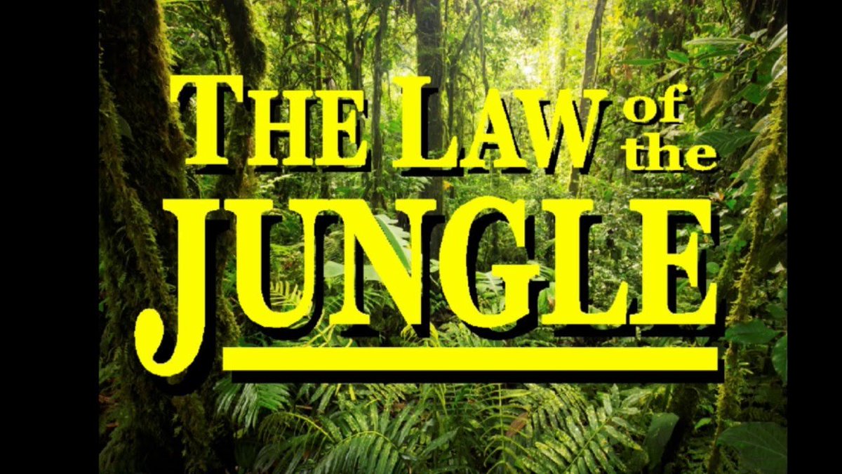 ProCongo tweet media