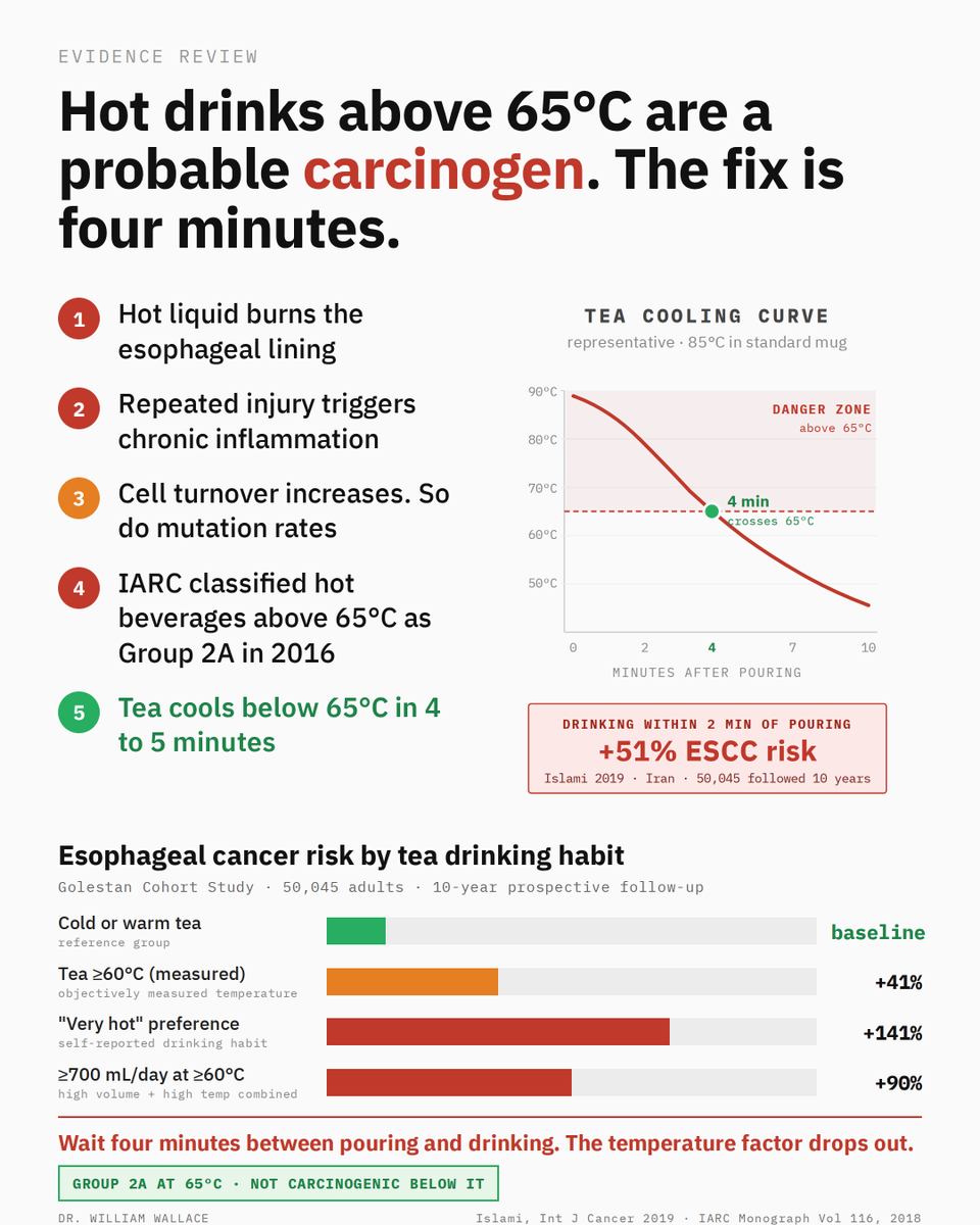 William A. Wallace, Ph.D. tweet media