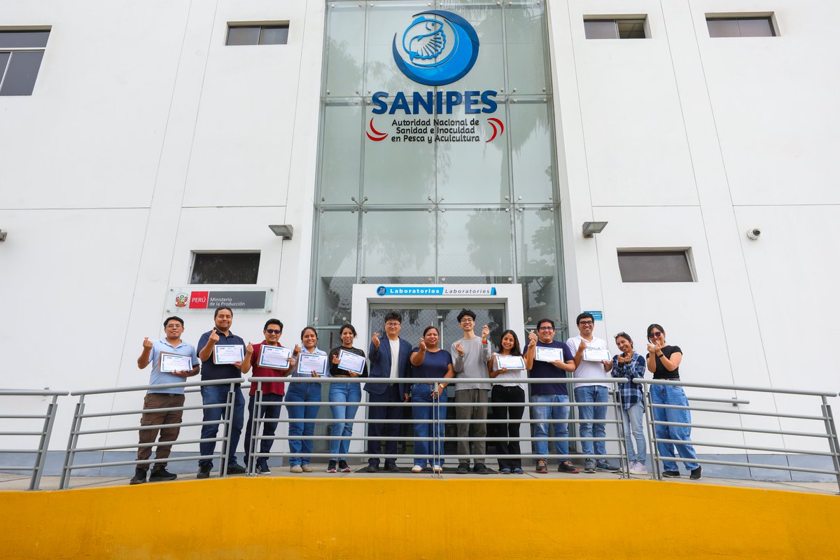 Sanipes tweet media