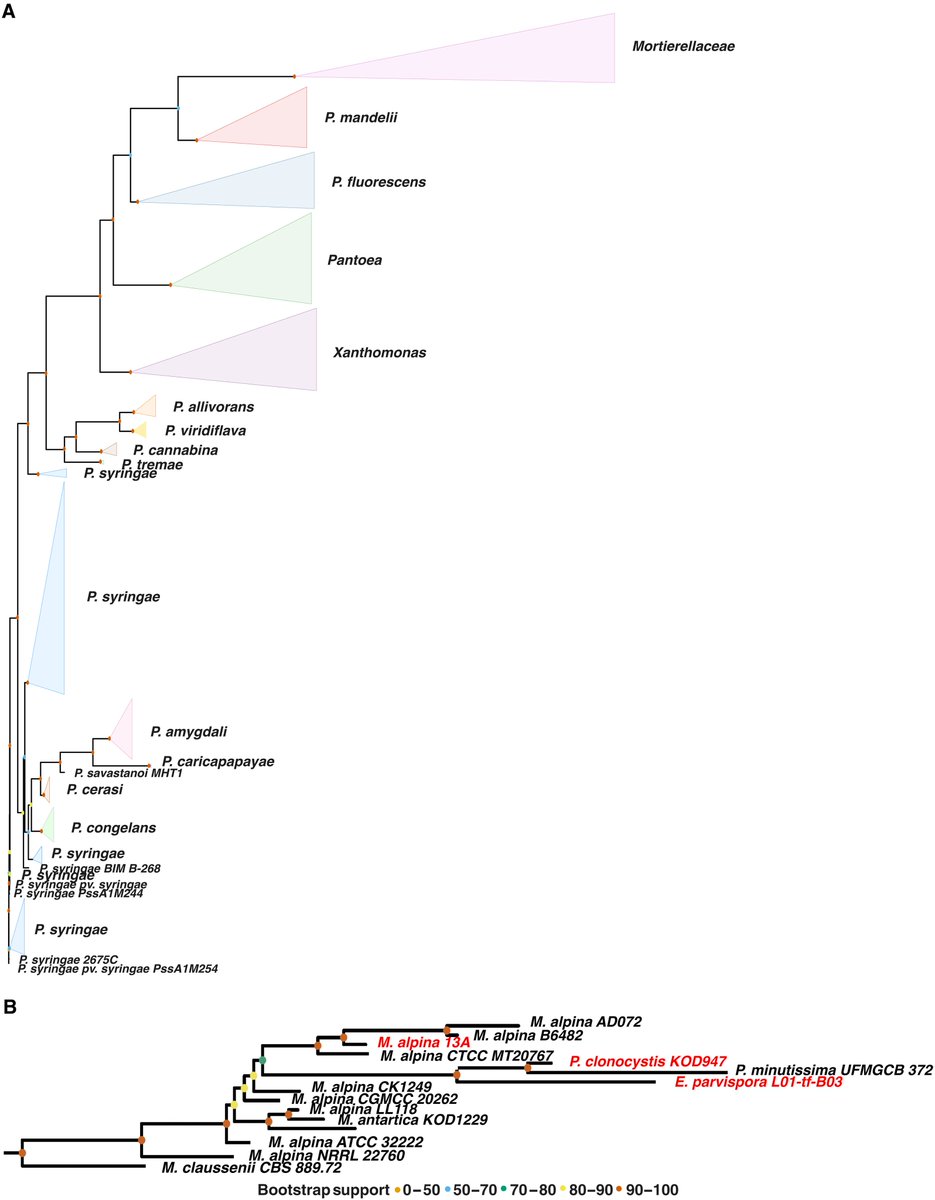 stephenmarek2's tweet photo. A previously unrecognized class of fungal ice-nucleating proteins with bacterial ancestry | Science Advances https://t.co/yTGIN5ZiDE https://t.co/LvliSSHLrs