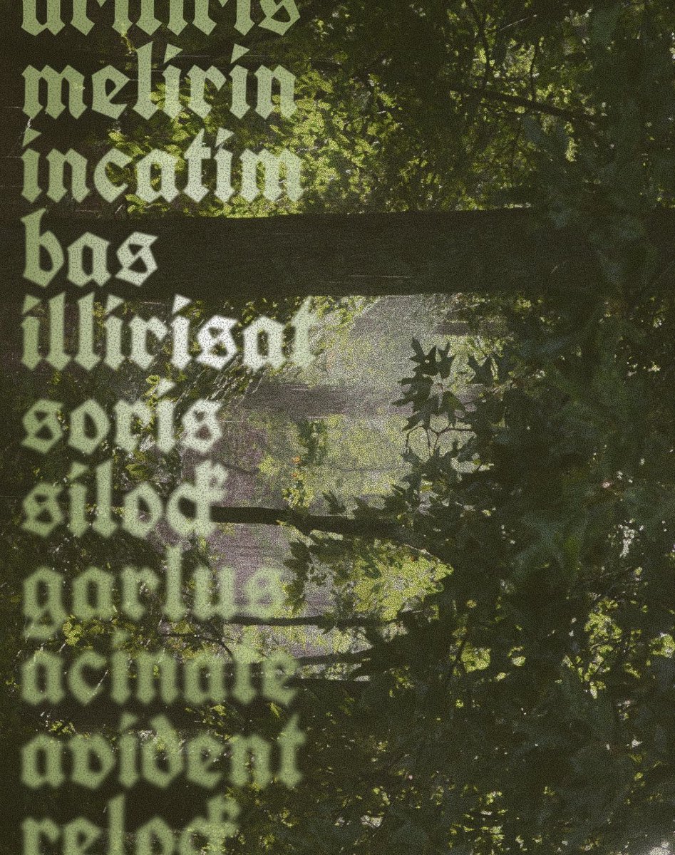 Ben Allee tweet media