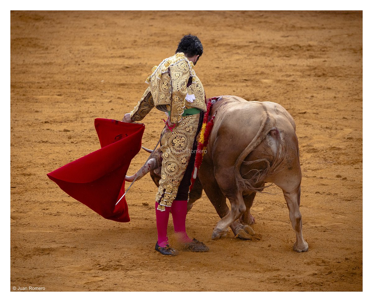 Morante, pureza.

Excelente trabajo (como siempre) de <a href="/jrompri/">Juan Romero Prieto</a>.