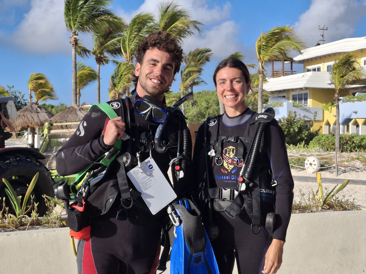 DRESSELDIVERS tweet media