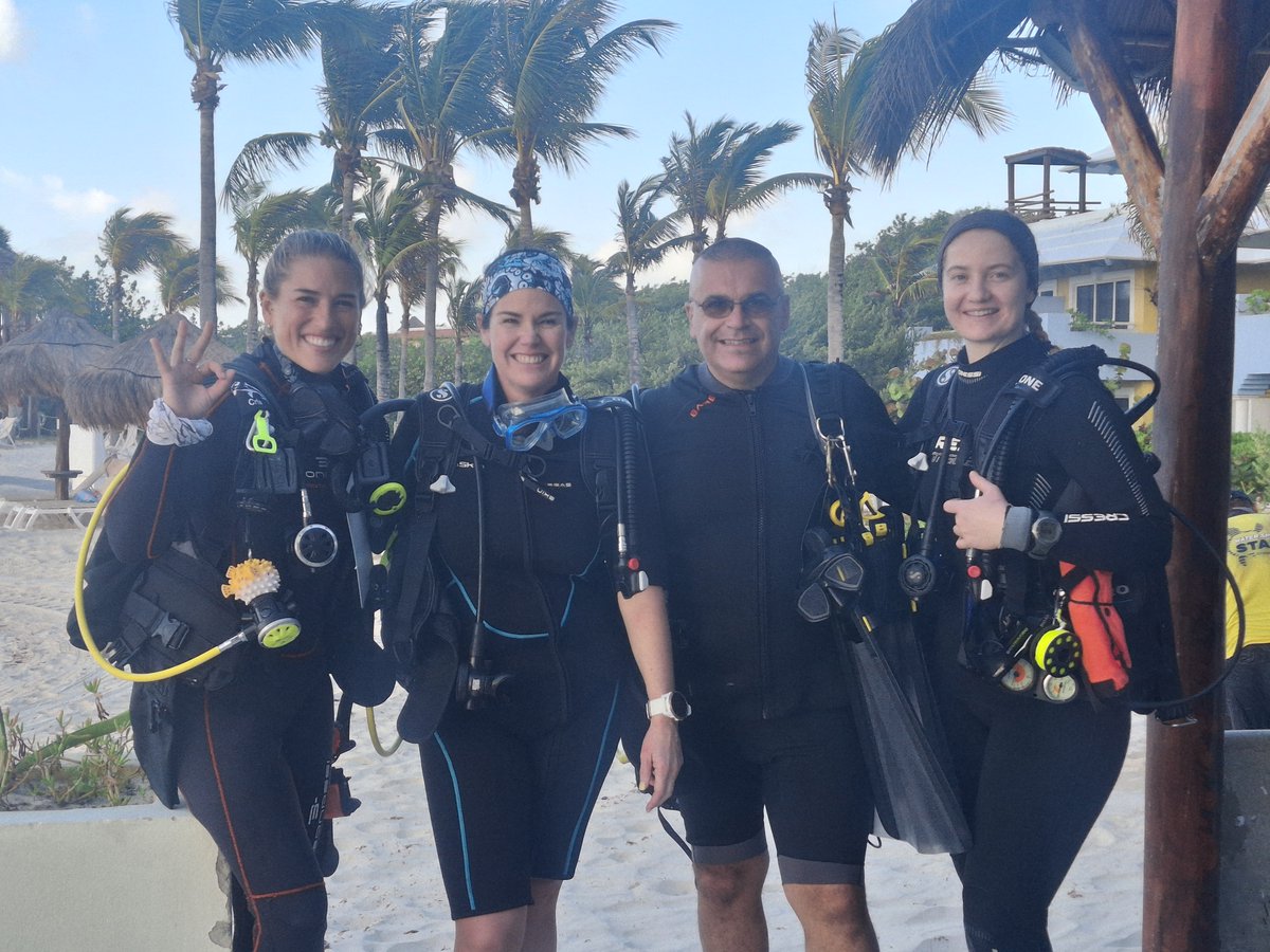 DRESSELDIVERS tweet media