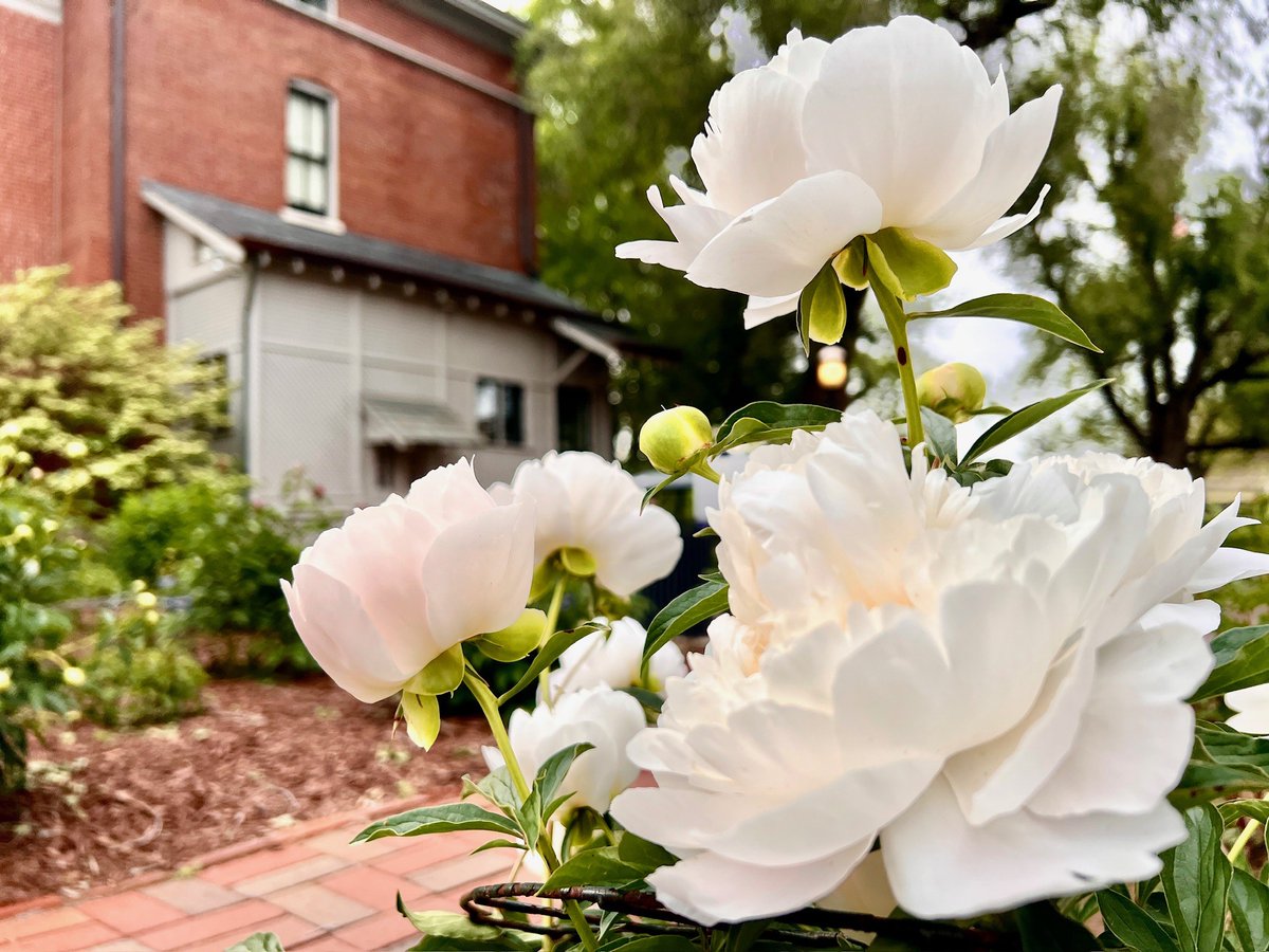 Benjamin Harrison Presidential Site tweet media