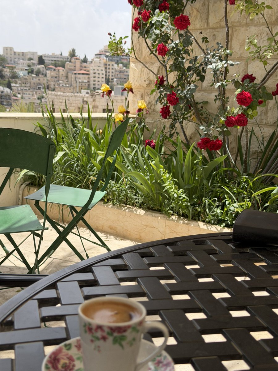 raeda mohammed tweet media