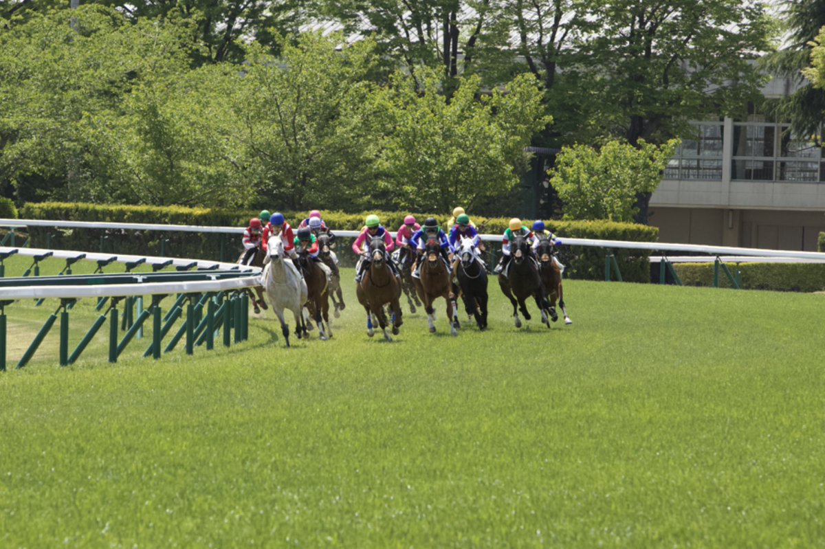 ushiropotun_223's tweet image. いつも撮らない場所から撮ってみた

#CanonEOSR
#競馬写真