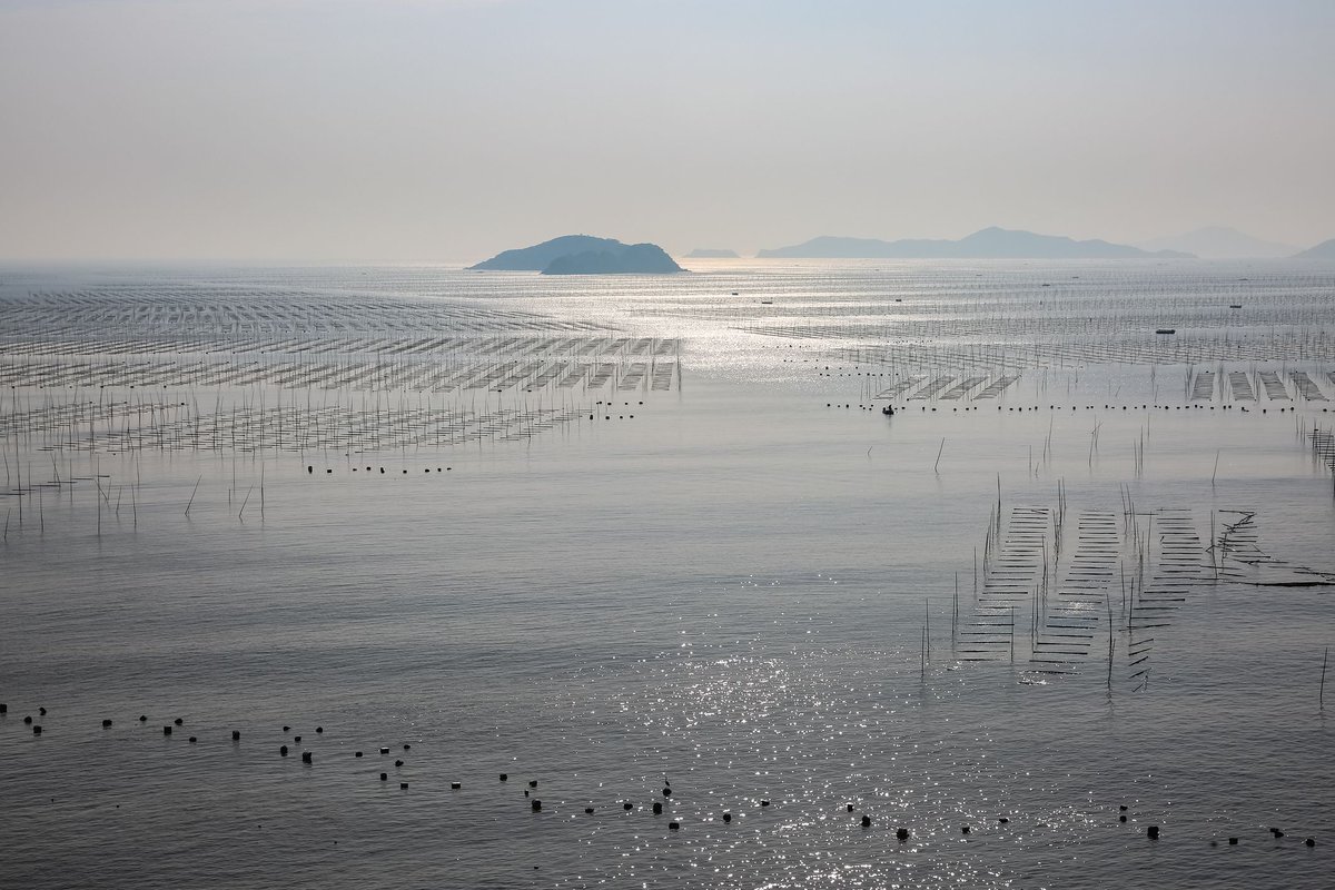 sequoiasci's tweet image. Chinese study shows LISST-Holo2 suitability for monitoring phytoplankton in aquaculture! A new study out of China demonstrates the LISST-Holo2 as a powerful tool for monitoring large phytoplankton species in aquaculture environments sequoiasci.com/about/news/chi…  

#LISST