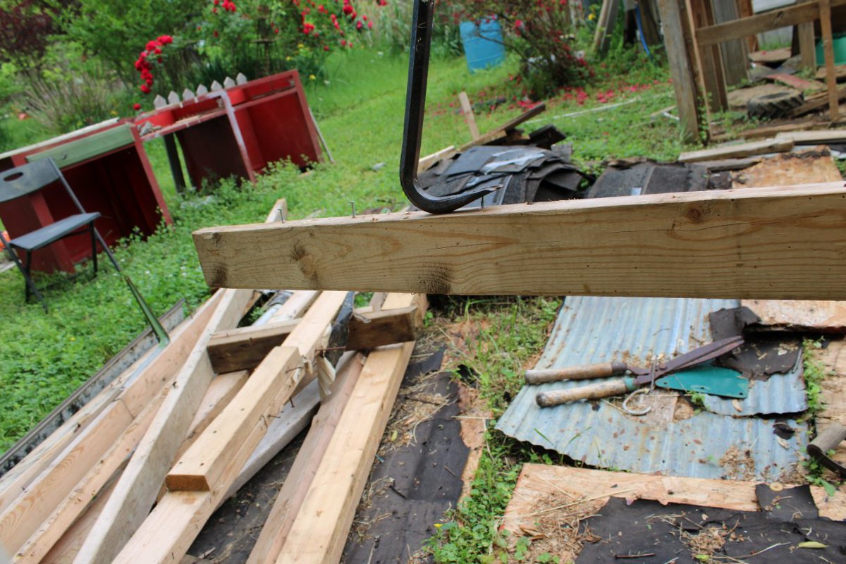 docsanderson's tweet image. #Scientists #Carpenter #RestorationProject #Wolves #Mates @NatGeo @danpeckwx @HeartsofHeroes_
@Nature G Mags Lizzie after starting bck on #MicroHouse i got 1st round of wall studs cleaned &amp;amp; hauled to work pile drenched in sweat that smells wrong/sick. Mwah Slow&amp;amp;Low Beautifuls Lee