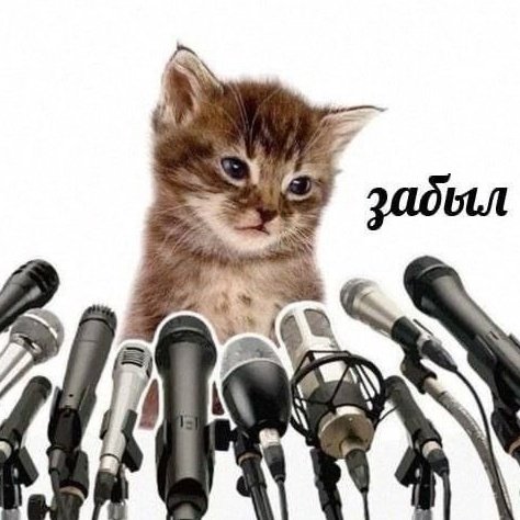 մար 🇵🇸 (@marpetya) on Twitter photo 