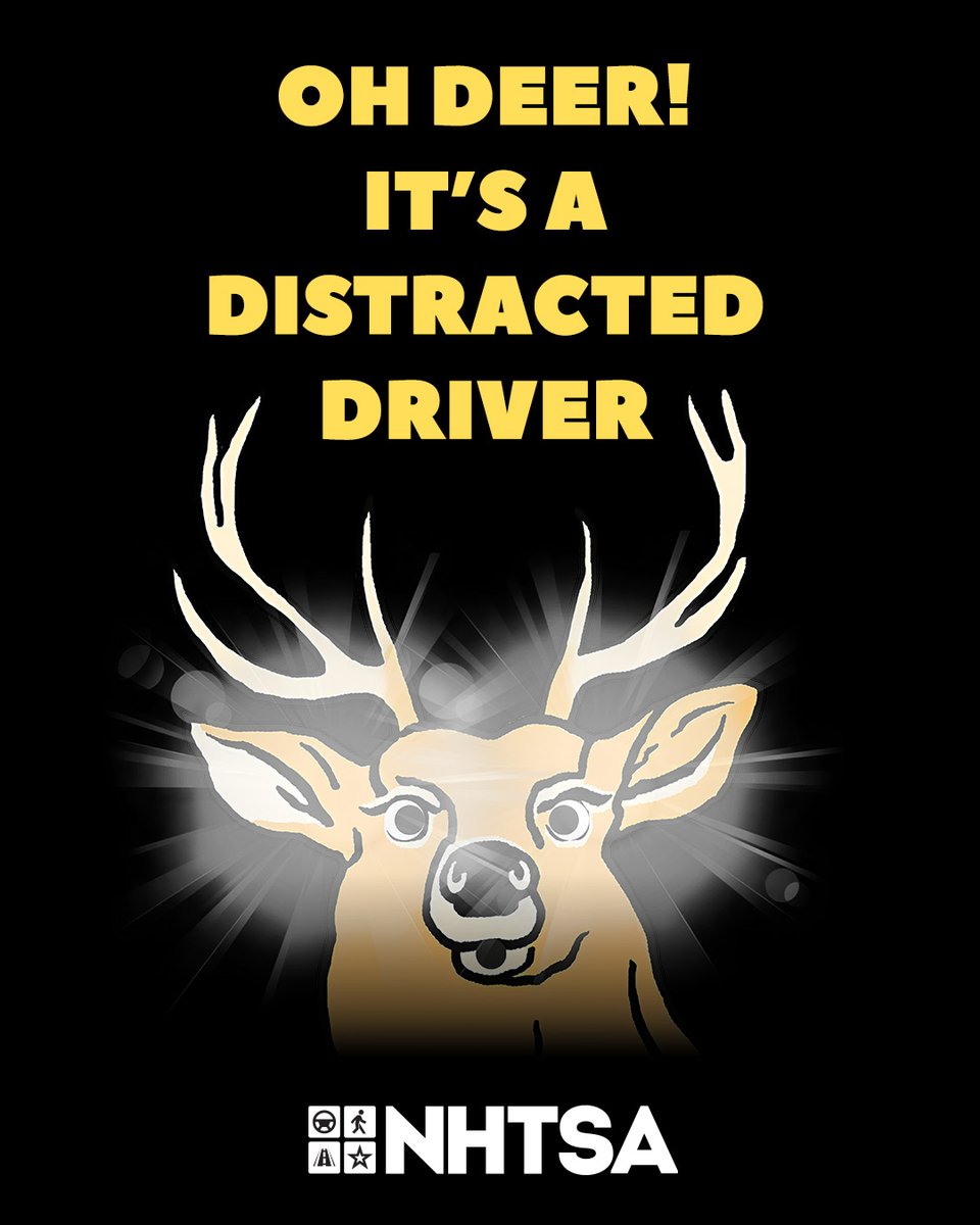 Drive Safe Alabama tweet media
