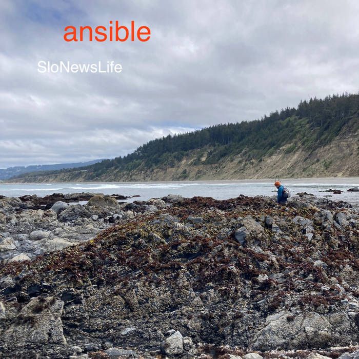GetMusicfm's tweet image. Free download codes:

SloNewsLife - ansible

"Many of these songs were written and recorded while staying at a house on the Puget Sound shortly after a family funeral."

getmusic.fm/l/EKMaWW

#ambient #slowcore #altfolk #lofirock #music