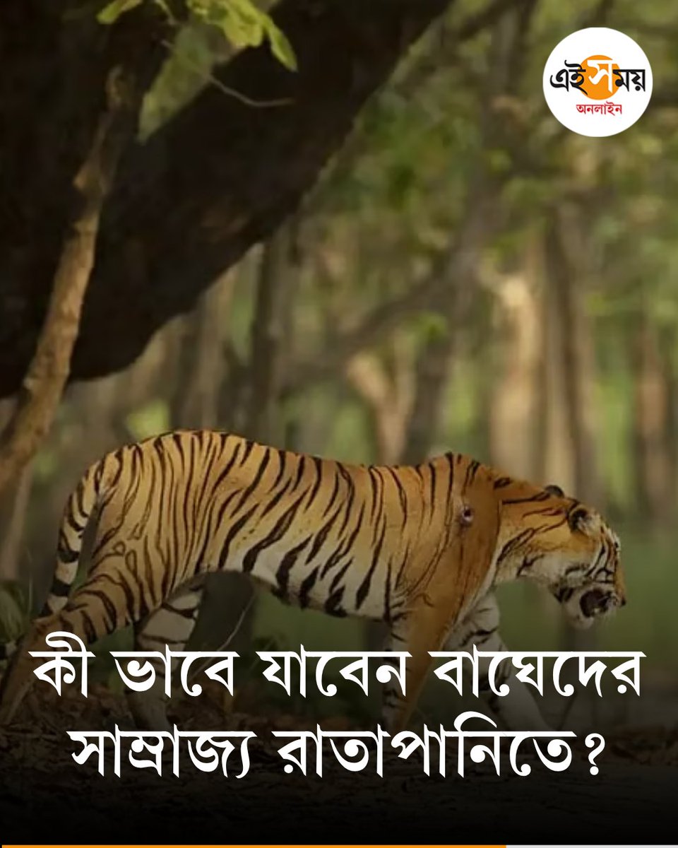Ei_Samay's tweet image. বর্ষা আসার আগে কী ভাবে যাবেন?
👉 eisamay.com/lifestyle/trav…

#eisamayonline #EiSamay