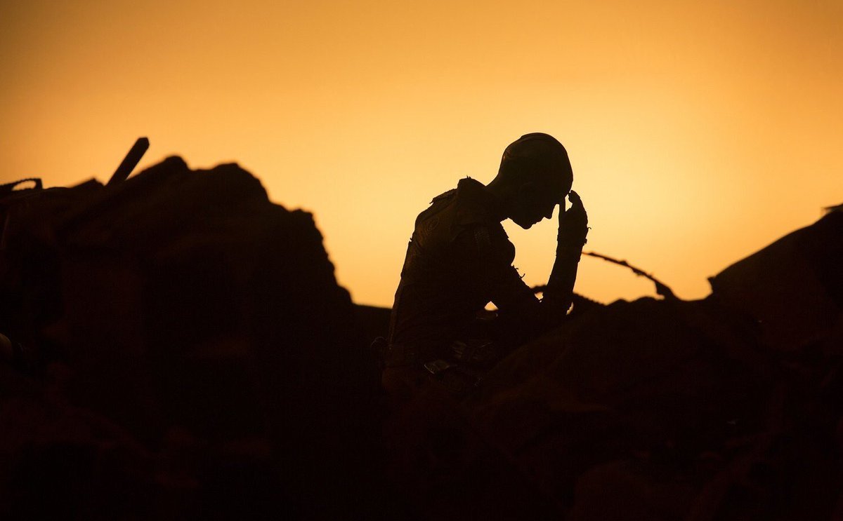 Culture Crave 🍿 tweet media