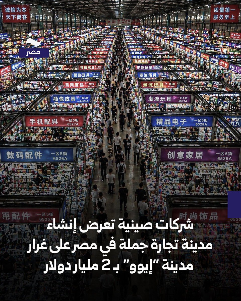 خاص - مصر tweet media