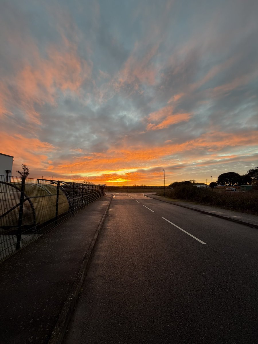 Mahiru Koizumi || Council Member || ❤️📸 tweet media