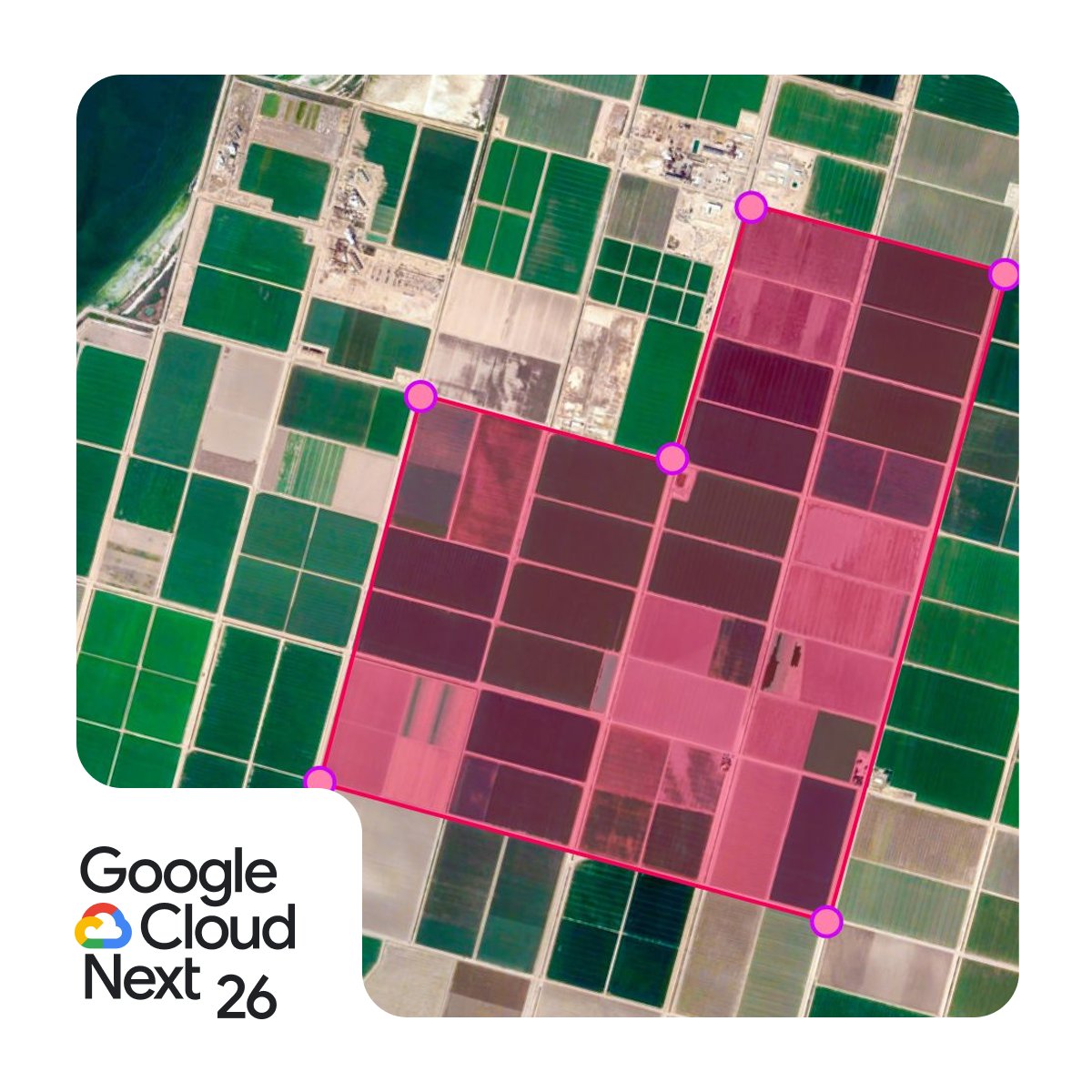 Google Maps Platform tweet media