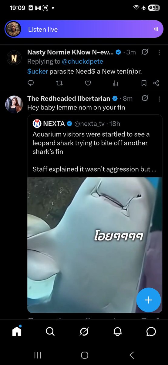 Nasty Normie KNow N-ews Network tweet media