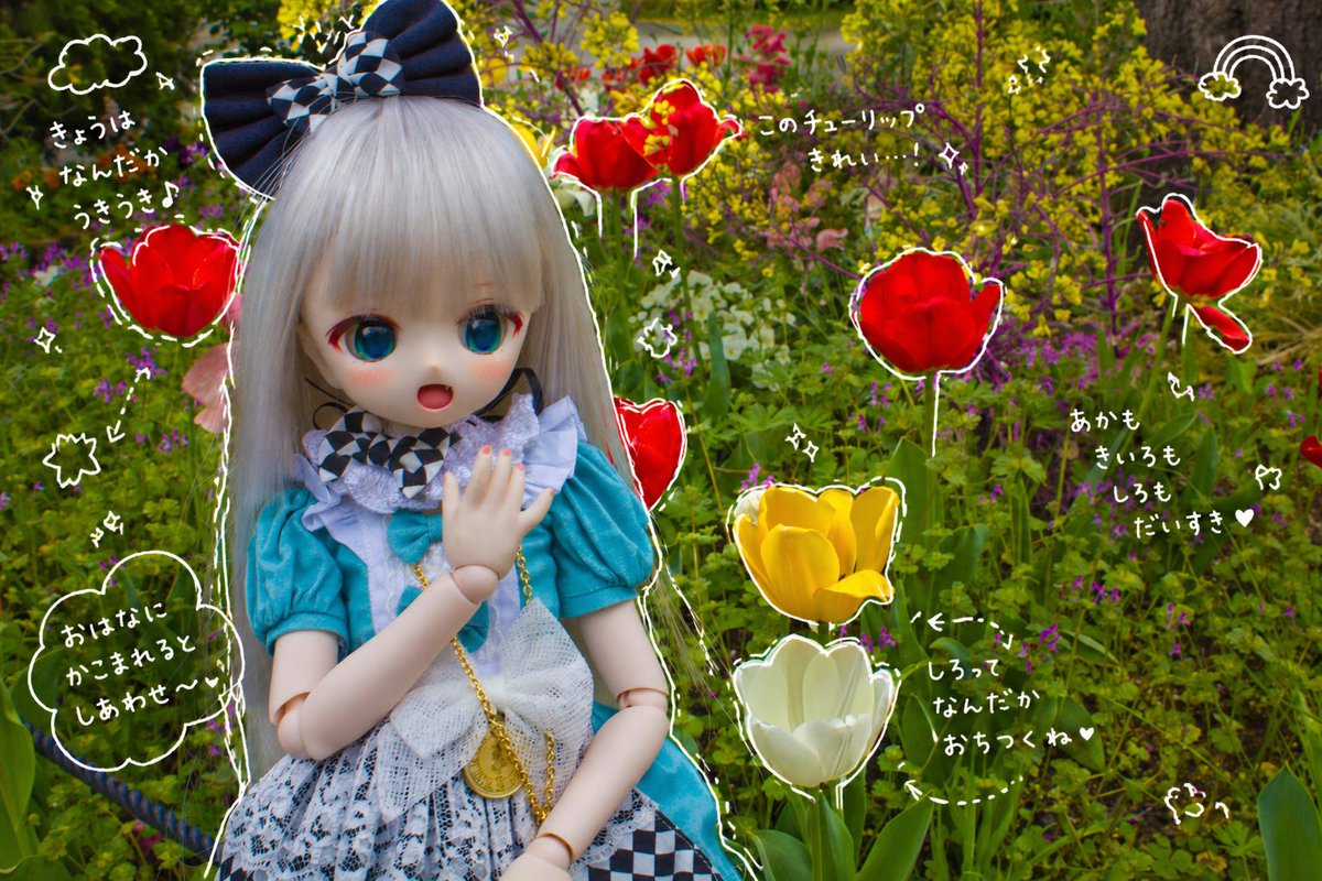 ねえ見て見て！今日はね、なんだかすっごくワクワクするの♪

赤も黄色も白も、ぜーんぶきれいで…
どの子も“わたしを見て！”って言ってるみたい。
お花に囲まれてるとね、ふわ〜って気持ちが軽くなるの。
…だからかな、ちょっとだけ元気わけてあげられてたらいいなって思うの。