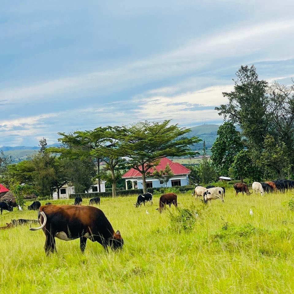 Edwin Tus🌹 tweet media