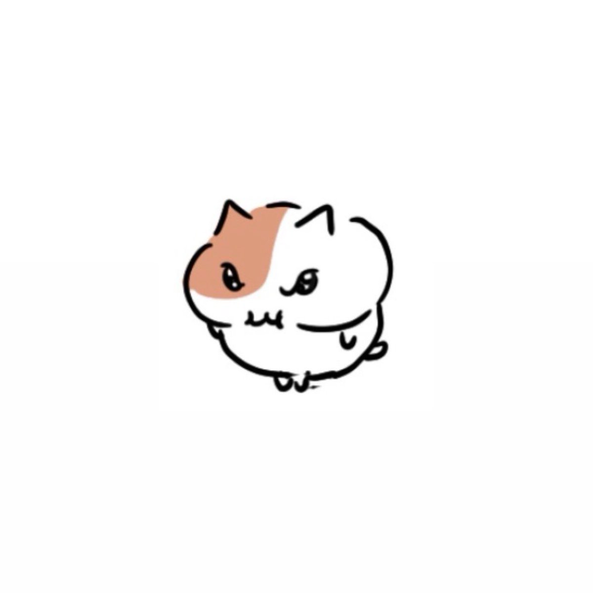 もちにゃみ tweet media