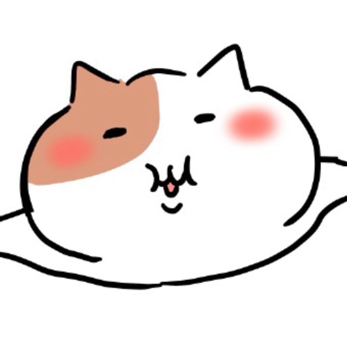 もちにゃみ tweet media
